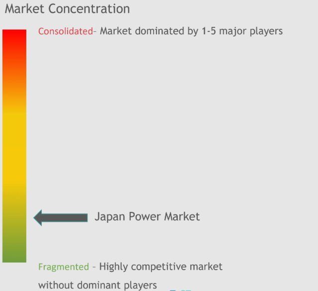 Japan Power Market Concentration
